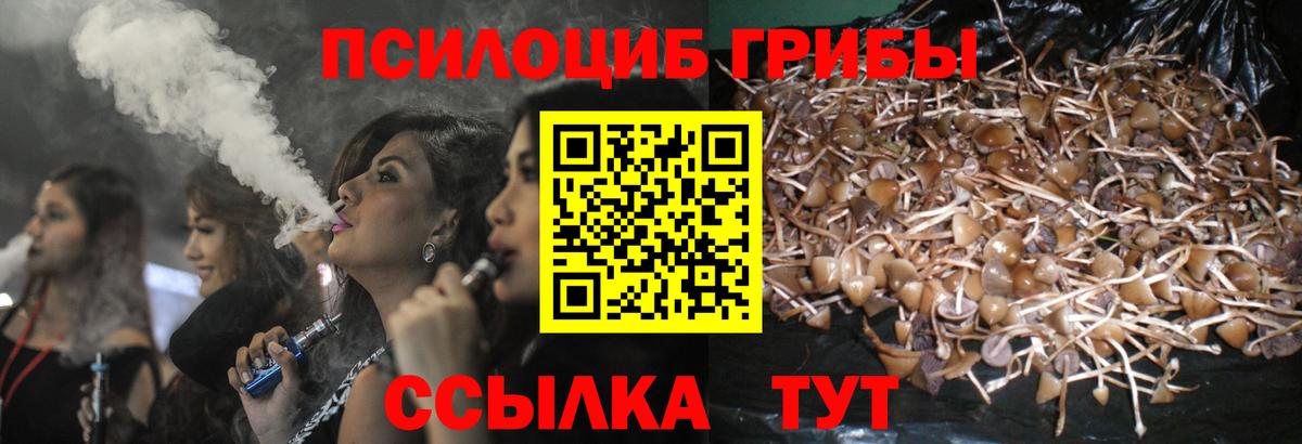 Галлюциногенные грибы Cubensis Барнаул